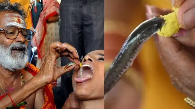 Fish Prasadam: చేప ప్రసాదం పంపిణీలో విషాదం..గుండెపోటుతో వృద్దుడు మృతి