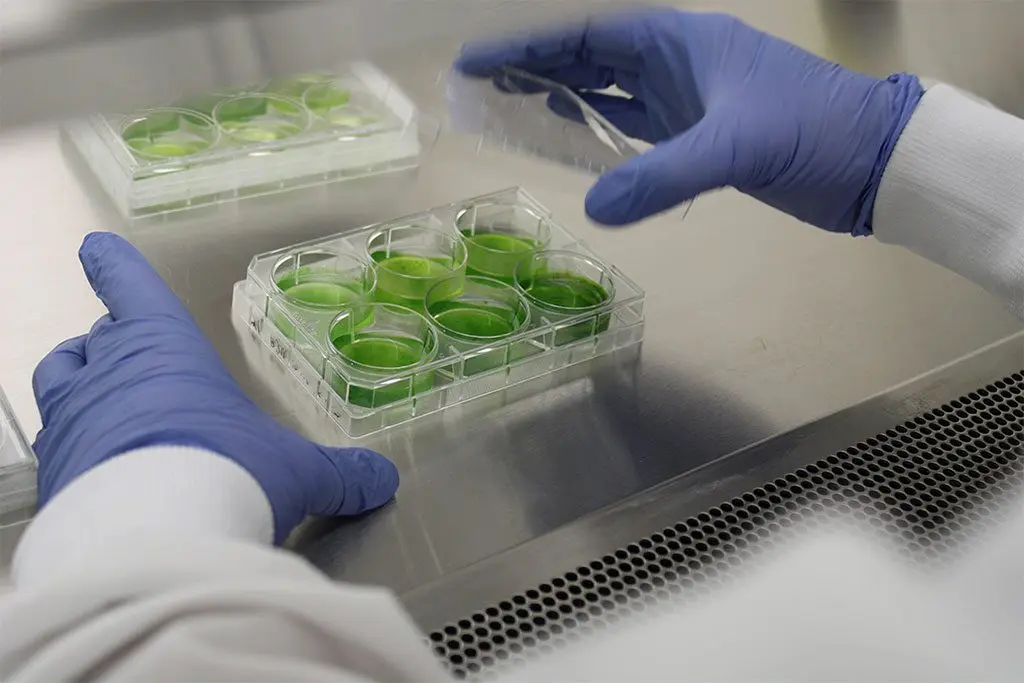 America: స్మ‌గ్లింగ్ ఆరోపణలతో వుహాన్ ల్యాబ్‌ పీహెచ్‌డీ విద్యార్థిని అరెస్టు చేసిన అమెరికా