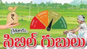 సిబిల్ స్కోర్ 650 పాయింట్లు ఉంటేనే పంట రుణాలు