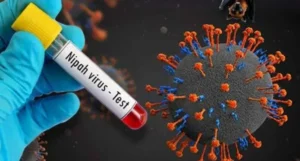 నిఫా వైరస్‌ కలకలం..మూడు జిల్లాల్లో హైఅలర్ట్‌