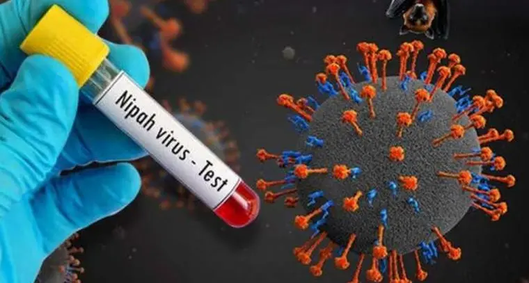 Nifa virus: నిఫా వైరస్‌ కలకలం..మూడు జిల్లాల్లో హైఅలర్ట్‌