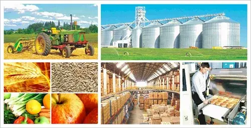 Agro Processing Units: రాష్ట్రవ్యాప్తంగా 2,500 ఆగ్రో ప్రాసెసింగ్ యూనిట్లు