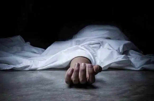 Suicide: అల్లుడి అనారోగ్యాన్ని తట్టుకోలేక తల్లి, కూతురు ఆత్మహత్య