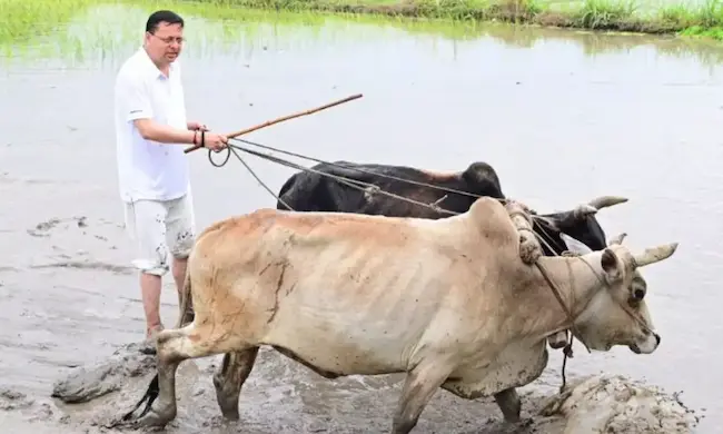 Pushkar Singh Dhami: సొంత పొలంలోనే దుక్కి దున్నిన ఉత్తరాఖండ్ సీఎం