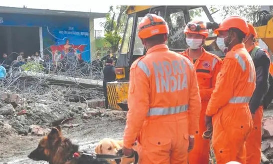Cadaver Dogs: NDRF లోకి కెడావర్ డాగ్స్.. వీటి ప్రత్యేకత తెలుసా?