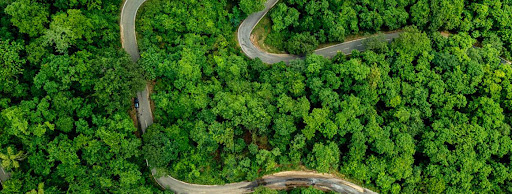 AP Forest Department: ఏపీ అటవీశాఖలో ఉద్యోగాలకు నోటిఫికేషన్ విడుదల