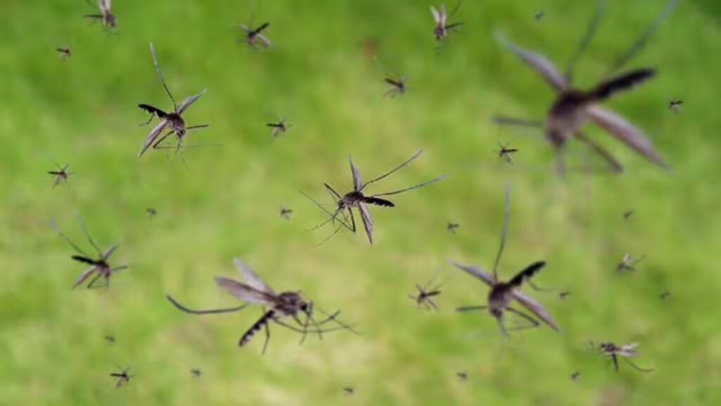 AP Government : దోమల నివారణకు ఏపీ ప్రభుత్వం హైటెక్ ప్రయోగం