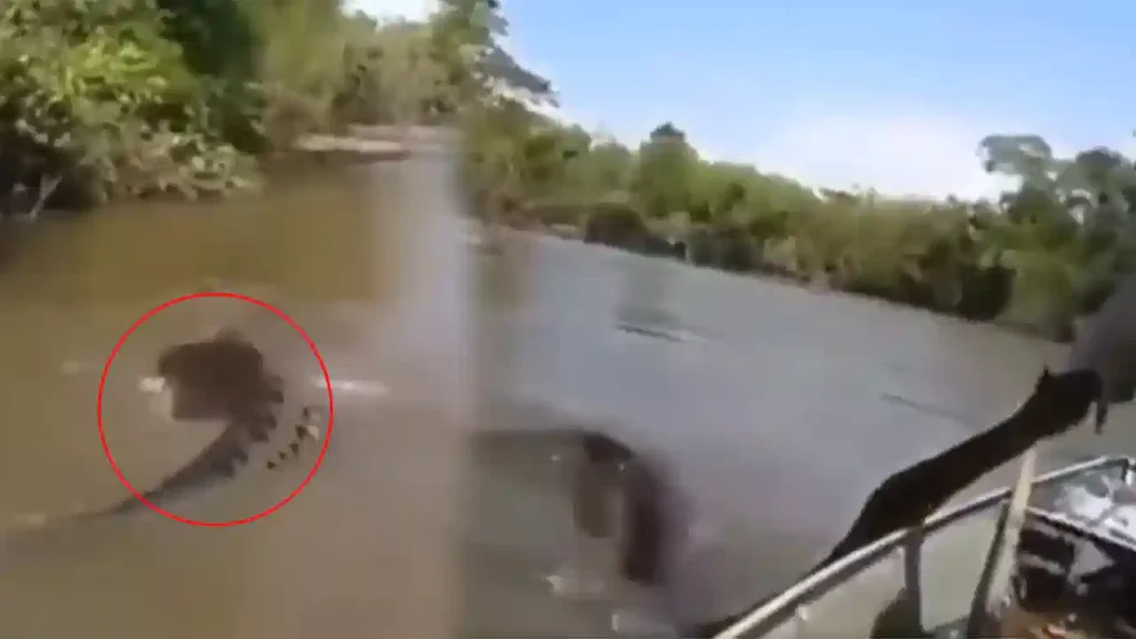 Anaconda : భారీ అనకొండ తోక పట్టుకుంటే ఏం జరిగిందో చూడండి..