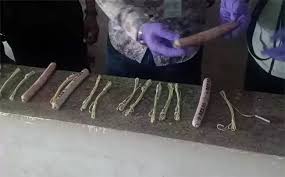 Bangalore : ప్లాస్టిక్ బ్యాగులో పేలుడు పదార్థాల కలకలం