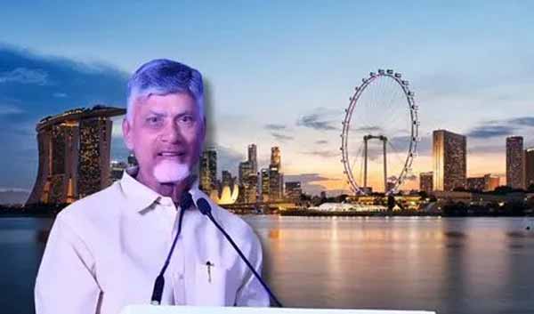 Chandrababu : సింగపూర్ చేరుకున్న సీఎం చంద్రబాబు
