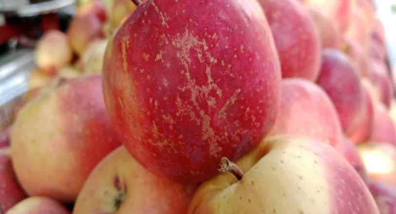 Fake Apples: మార్కెట్లో నకిలీ యాపిల్స్..జాగ్రత్త సుమీ !!