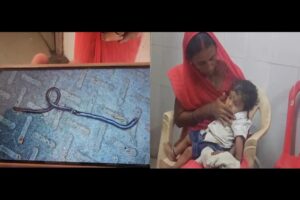 నాగుపామును కొరికి చంపిన ఏడాది బాలుడు