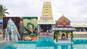 కాణిపాకం ఆలయంలో పాడైన పాల ప్యాకెట్ తో అభిషేకంకు యత్నం