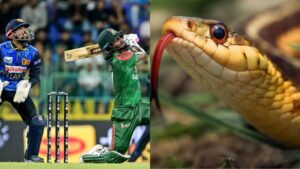 శ్రీలంక-బంగ్లాదేశ్ మ్యాచ్ లో పాము కలకలం…