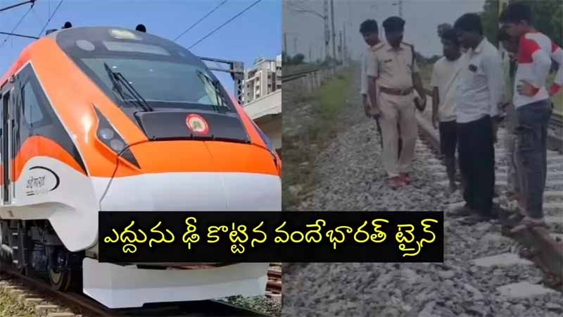 Vande Bharat : ఎద్దును ఢీకొన్న వందేభారత్
