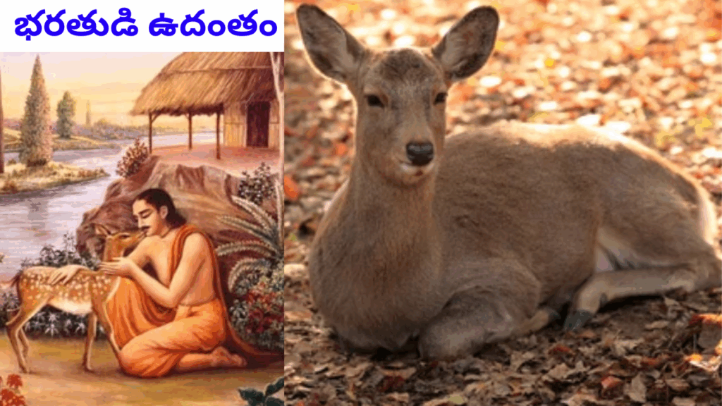 Hindhu Mythology: భరతుడి ఉదంతం