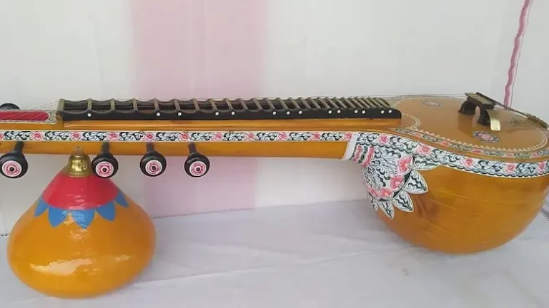 Bobbili: Bobbili Veena gets rare recognition