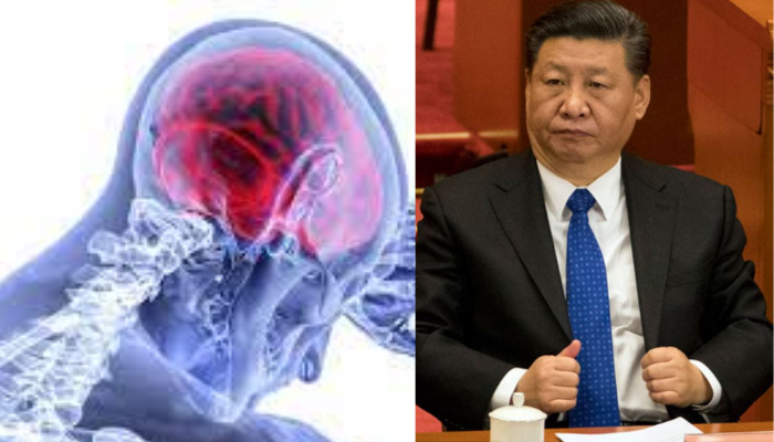 brain scan : బ్రెయిన్ వేవ్ డేటాకు డబ్బు చెల్లిస్తుంది!: జపాన్ కంపెనీ