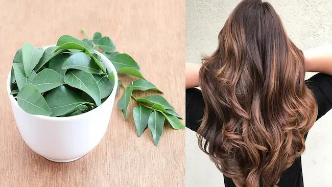 Hair Tips: కరివేపాకుతో జుట్టు సమస్యకు శాశ్వత పరిష్కారం!