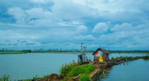 కేరళలోని కడమకుడి గ్రామంపై ఆనంద్ మహీంద్రా ప్రశంసలు