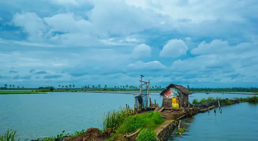 Anand Mahindra: కేరళలోని కడమకుడి గ్రామంపై ఆనంద్ మహీంద్రా ప్రశంసలు