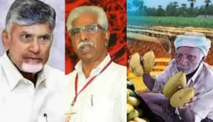 మామిడి రైతులను ఆదుకోండి -సిఎం చంద్రబాబుకు సిపిఎం లేఖ