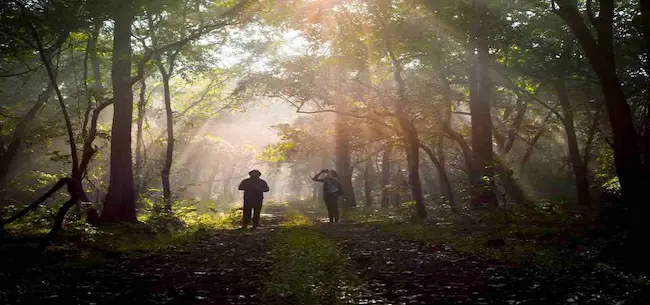 Fight: ప్లాంటేషన్ పోడులో ఘర్షణ..ఫోరెస్టు వర్సెస్ పోడుదారులు