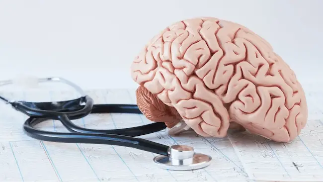 Brain Health: చురుకైన మెదడు కోసం ఈ ఆరు పాటించాలి..