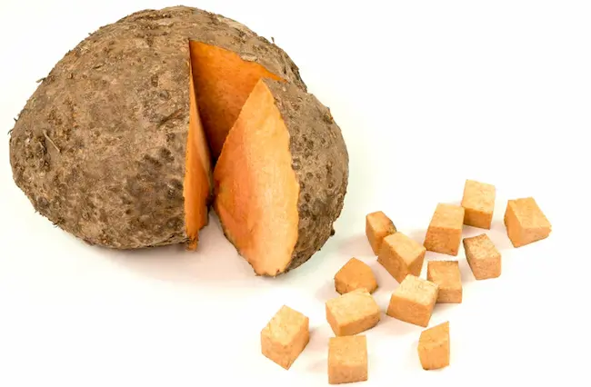 Elephant Yam : కందగడ్డతో కలిగే ప్రయోజనాలు తెలుసా..