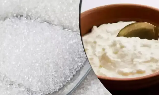  Curd : జ్ఞాపక శక్తి  పెరగాలంటే పెరుగులో ఇది కలిపి తీసుకోండి..