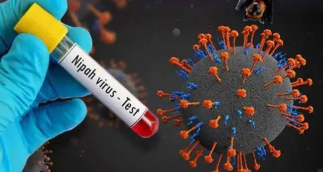 Nipah Virus : ఆందోళన కలిగిస్తున్న నిఫా వైరస్‌..  కేరళలోని ఆరు జిల్లాల్లో హై అలర్ట్‌