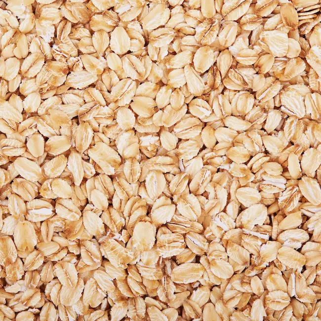  Oats : రోజూ ఉద‌యం  ఓట్స్ తింటే ఎన్ని లాభాలో తెలుసా..