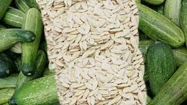  Cucumber Seeds: కీర‌దోస‌కాయ‌ విత్త‌నాల‌తో ఎన్ని లాభాలో  తెలుసా..