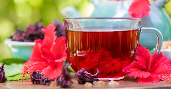  Hibiscus Tea : మందార పువ్వుల టీతో అనేక ఆరోగ్య ప్రయోజనాలు
