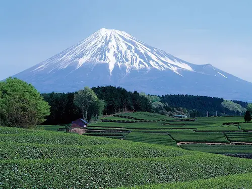Mount Fuji 