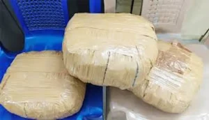 తిరుపతిలో గంజాయి రవాణా చేస్తున్న ఇద్దరి అరెస్టు