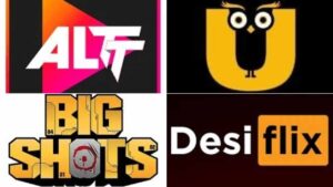 ఇకపై మీ మొబైల్ ల్లో ఆ అడల్ట్‌ యాప్‌లు కనిపించవు..!!