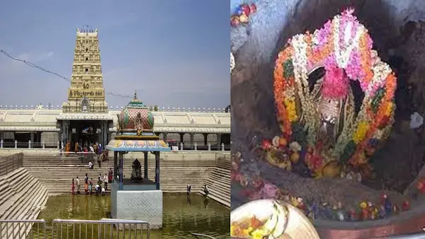 Kanipakam Temple: కాణిపాకం ఆలయంలో పాడైన పాల ప్యాకెట్ తో అభిషేకంకు యత్నం