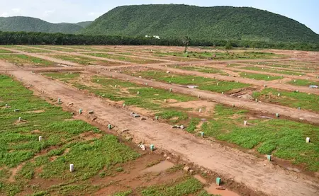 Andhra Pradesh: ఇళ్ల స్థలాల కోసం ఆన్‌లైన్ దరఖాస్తులు ప్రారంభం!