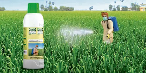 Nano fertilizers: నానో ఎరువుల వినియోగానికి సబ్సిడీ ప్రతిపాదనలేదు