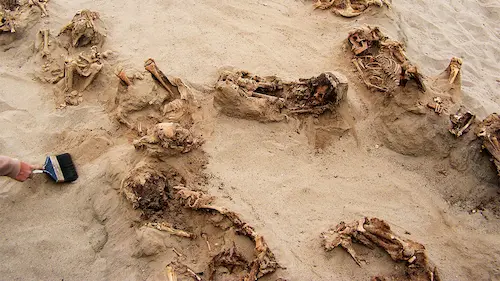 Sri Lanka: జాఫ్నా చెమ్మణి సామూహిక సమాధుల్లో చిన్నారుల అవశేషాలు