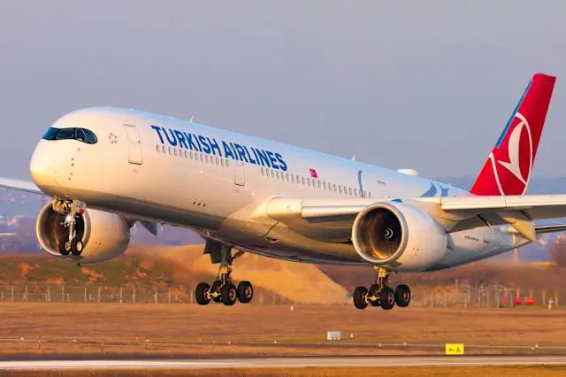 Turkish Airlines TK79 : విమానంలో మృతి, మృతదేహం మాయం!