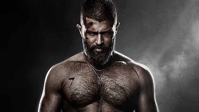 Vijay Devarakonda : డెంగ్యూ తో హాస్పటల్లో చేరిన విజ‌య్ దేవ‌ర‌కొండ‌..?