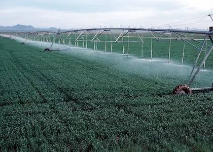 Agriculture Sector: వ్యవసాయ రంగంలో బయోటెక్నాలజీ వినియోగం పెరగాలి