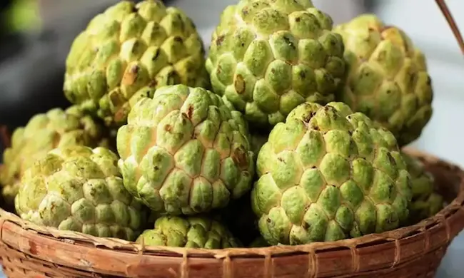 Custard apple: సీతాఫలం తినడం వల్ల ఆరోగ్యానికి అద్భుతమైన ప్రయోజనాలు