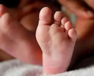 Jagitial- రేబిస్ వ్యాధి లక్షణాలతో నాలుగేళ్ల బాలుడు మృతి