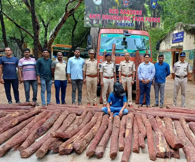 News Telugu: Smuggling- రూ.2 కోట్ల ఎర్రచందనం పట్టుకున్న పోలీసులు