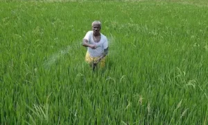 ఎన్ఎబిఎల్ వ్యవసాయశాఖకు గుర్తింపు పొందిన పరీక్ష కేంద్రం