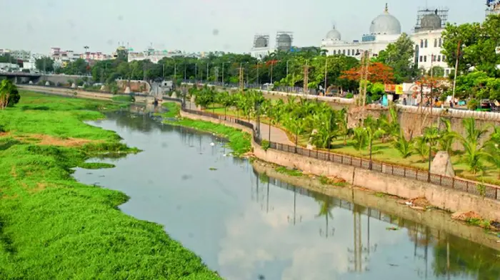 Endless Land Encroachments