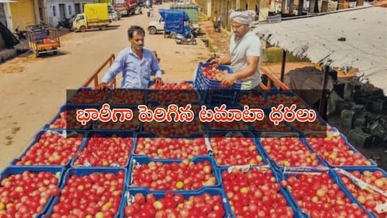 Telugu News : భారీగా పెరిగిన టమాటా ధరలు